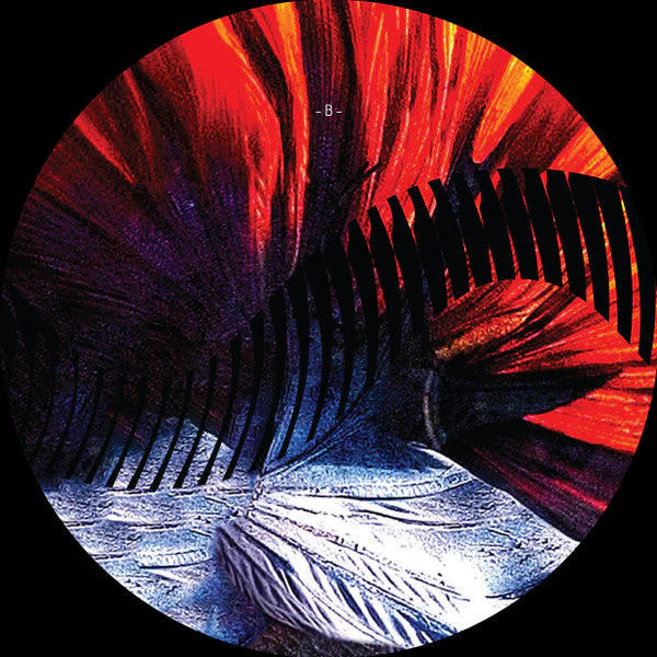 Marxian Vinyl Record