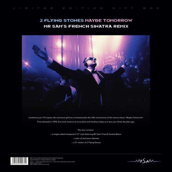 Maybe Tomorrow (Mr Sam's French Sinatra Remix)(VINYL BOX) Vinyl Record - Image 9
