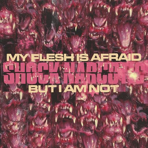 My Flesh Is Afraid But I Am Not Music CD