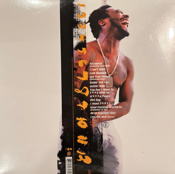 N***a Please (2xVINYL) Vinyl Record - Image 2