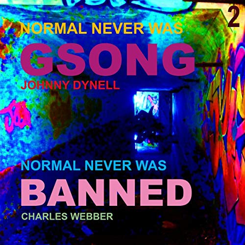 Normal Never Was II  Vinyl Record