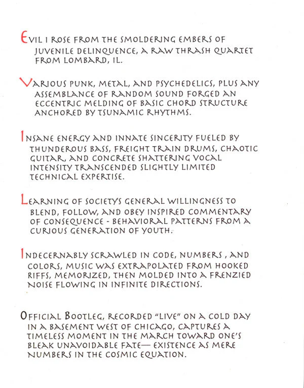 Official Bootleg Vinyl Record - Image 2