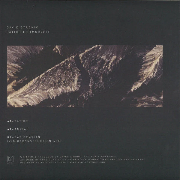 Patior EP Vinyl Record - Image 2