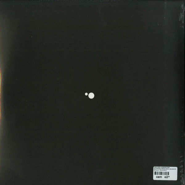 Polyphonic Minds Vinyl Record - Image 5