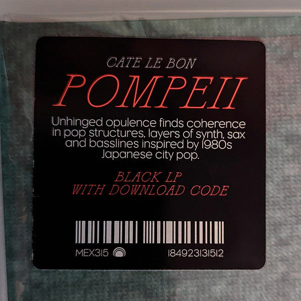 Pompeii Vinyl Record - Image 2