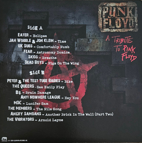 Punk Floyd (A Tribute To Pink Floyd)(COLOR VINYL) Vinyl Record - Image 2