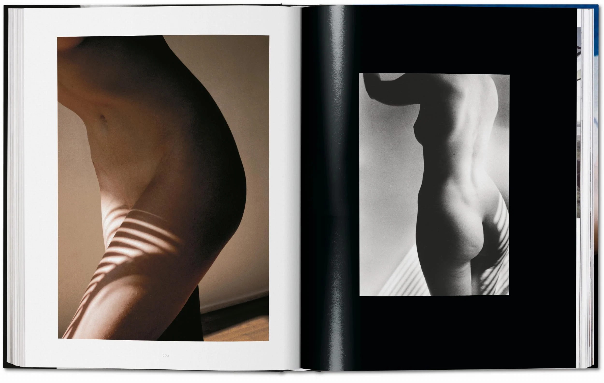 Ralph Gibson. Nude (German, French, English) Book - Image 6