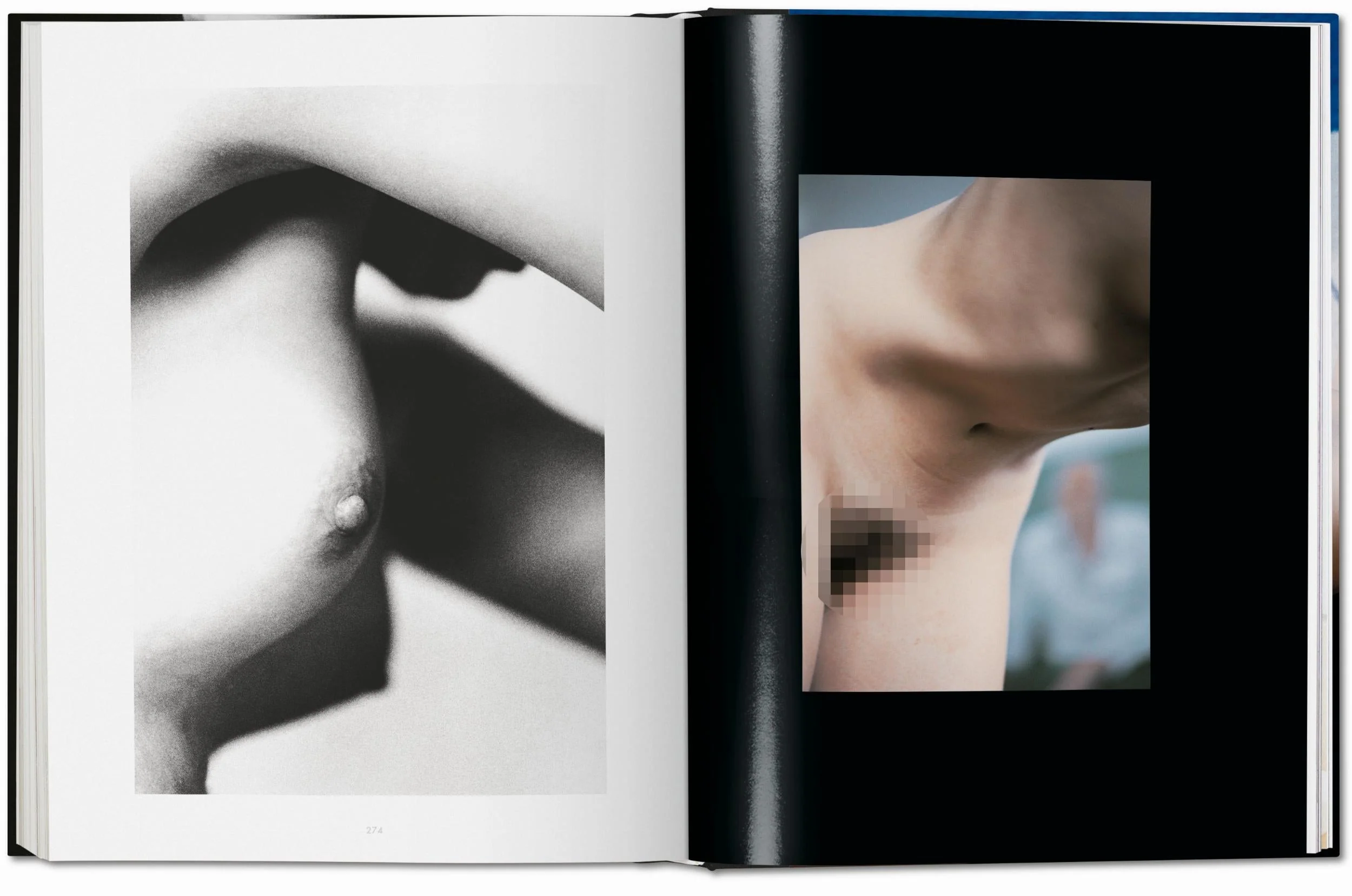 Ralph Gibson. Nude (German, French, English) Book - Image 7