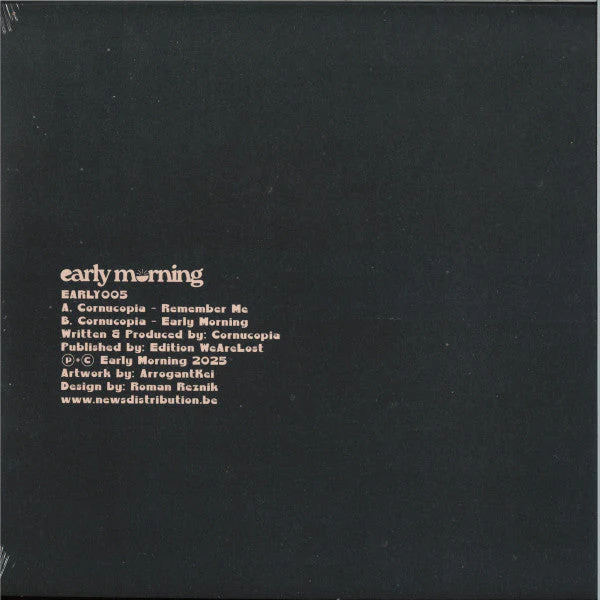 Remember Me / Early Morning Vinyl Record - Image 2