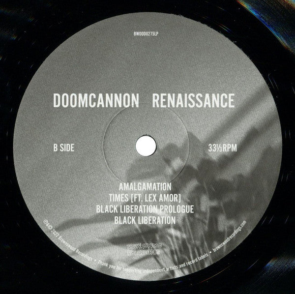 Renaissance Vinyl Record - Image 4