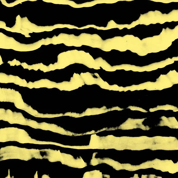 Restless Shapes Vinyl Record