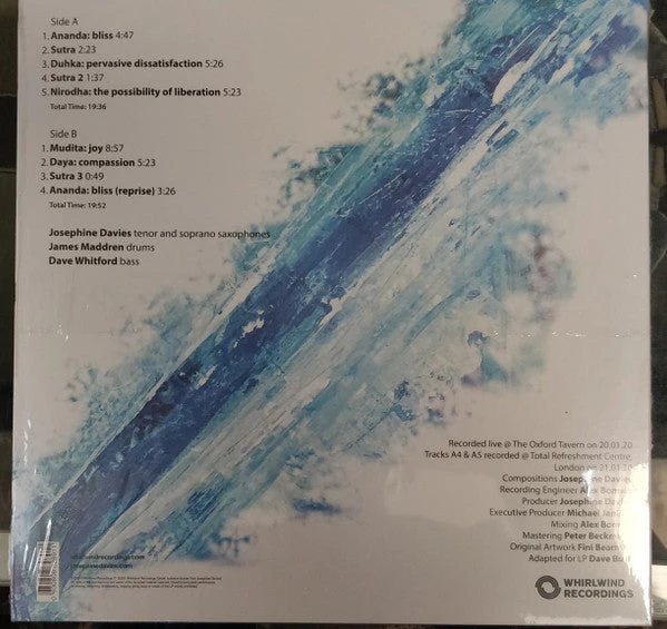 Satori: How Can We Wake? Vinyl Record - Image 2