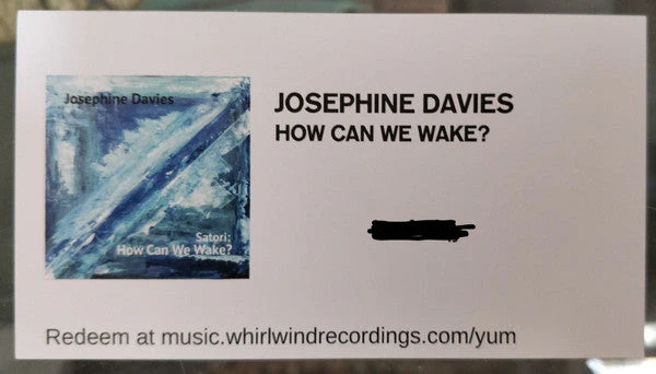 Satori: How Can We Wake? Vinyl Record - Image 4