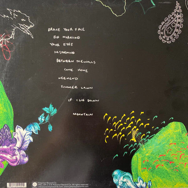 Some Echoes Vinyl Record - Image 2