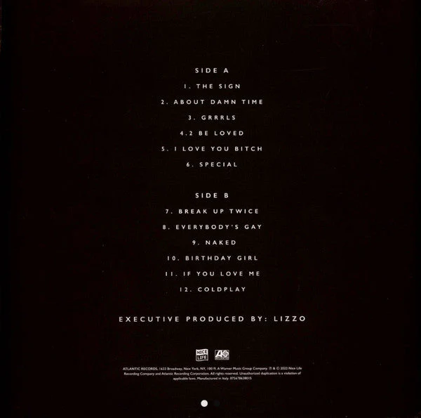 Special Vinyl Record - Image 2