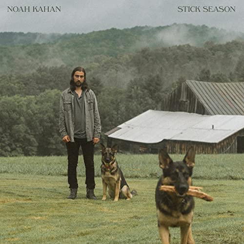 Stick Season Vinyl Record