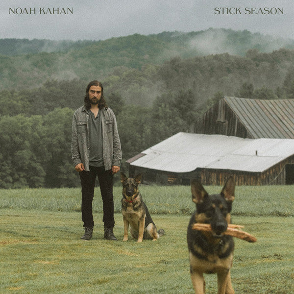 Stick Season Vinyl Record - Image 2