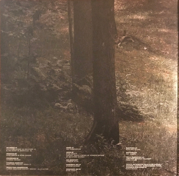 Stick Season Vinyl Record - Image 4