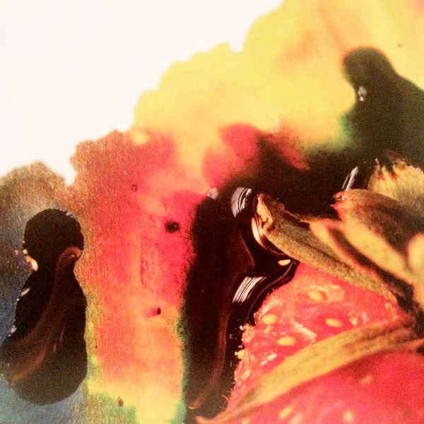 Strawberry Jam Vinyl Record - Image 10