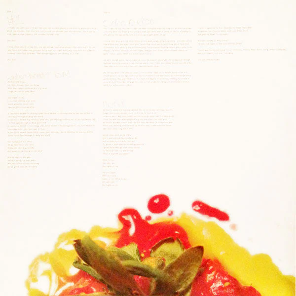 Strawberry Jam Vinyl Record - Image 13