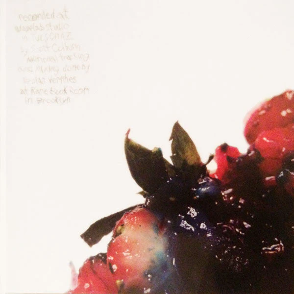 Strawberry Jam Vinyl Record - Image 4