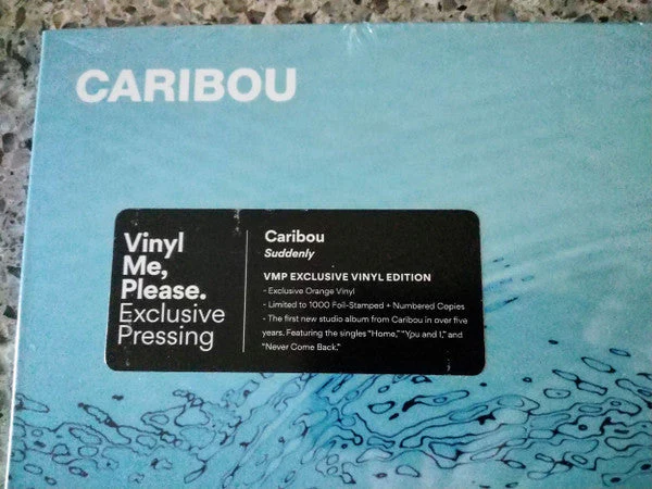 Suddenly Vinyl Record - Image 3