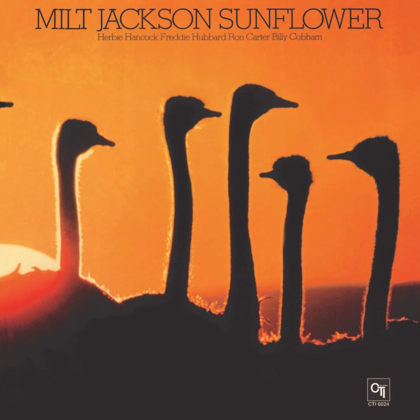 Sunflower Vinyl Record