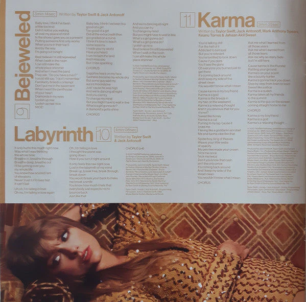 Taylor Swift Midnights Republic Records LP, Album, S/Edition, Blo  Vinyl Record - Image 13