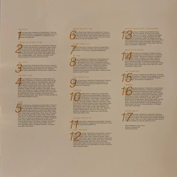 The Best Of David Gray (BEST BUY EXCLUSIVE ORANGE VINYL) Vinyl Record - Image 10
