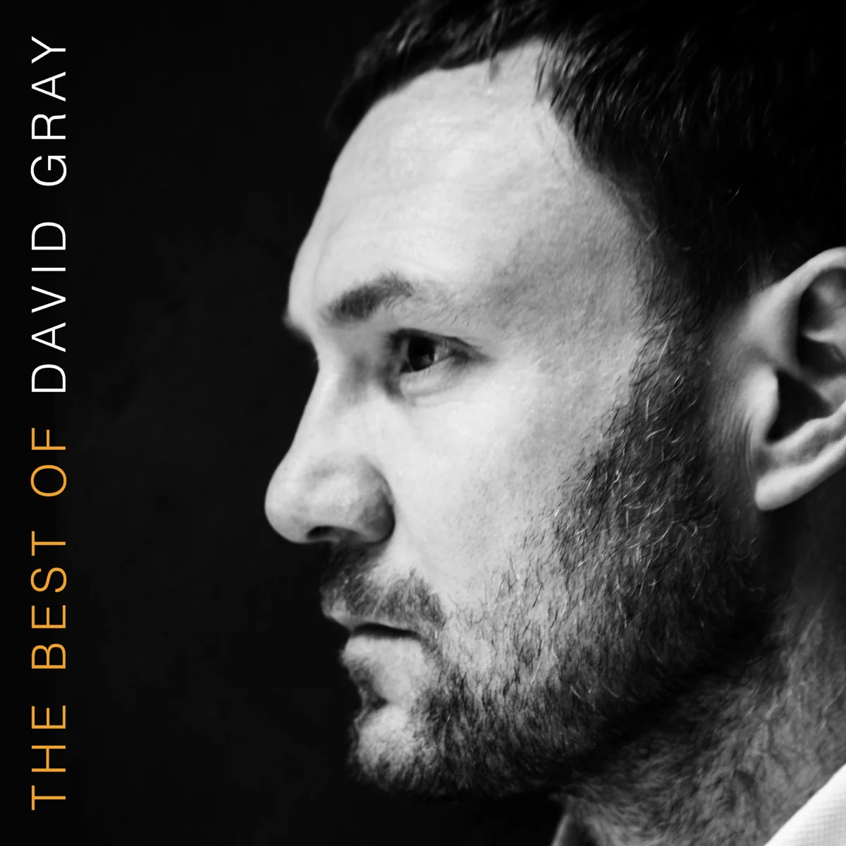 The Best Of David Gray (BEST BUY EXCLUSIVE ORANGE VINYL) Vinyl Record - Image 2