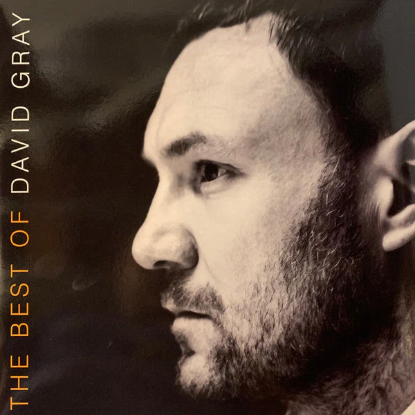 The Best Of David Gray (BEST BUY EXCLUSIVE ORANGE VINYL) Vinyl Record - Image 3