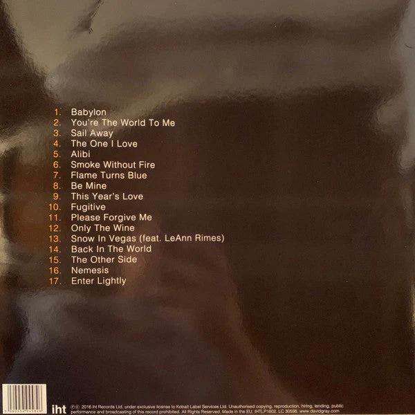 The Best Of David Gray (BEST BUY EXCLUSIVE ORANGE VINYL) Vinyl Record - Image 4