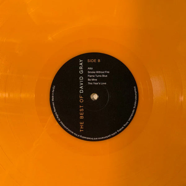 The Best Of David Gray (BEST BUY EXCLUSIVE ORANGE VINYL) Vinyl Record - Image 7