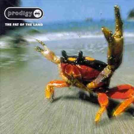 The Fat of the Land (2LP) Vinyl Record - Image 2