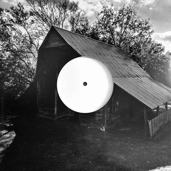 The Land Is Inhospitable and So Are We ("ROBIN'S EGG" BLUE VINYL) Vinyl Record - Image 10