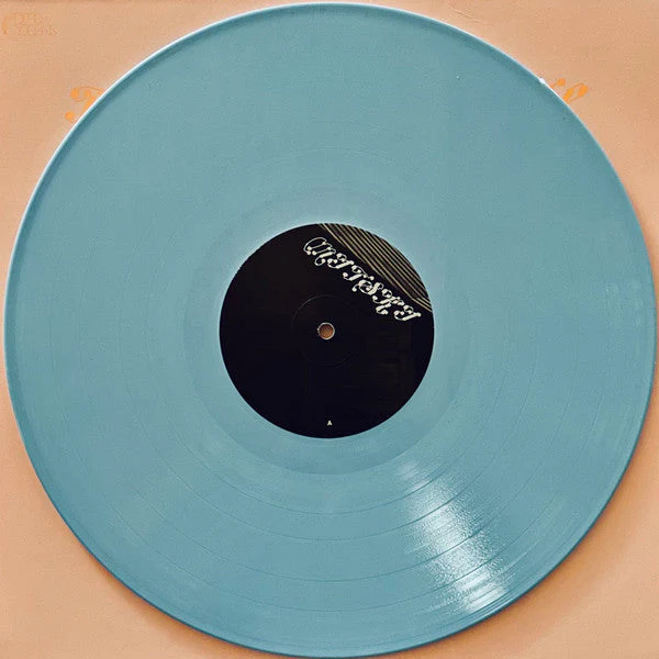 The Land Is Inhospitable and So Are We ("ROBIN'S EGG" BLUE VINYL) Vinyl Record - Image 12
