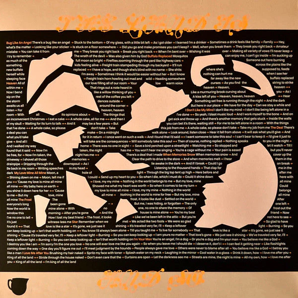 The Land Is Inhospitable and So Are We ("ROBIN'S EGG" BLUE VINYL) Vinyl Record - Image 5