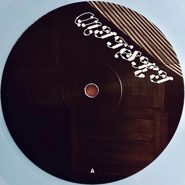 The Land Is Inhospitable and So Are We ("ROBIN'S EGG" BLUE VINYL) Vinyl Record - Image 8