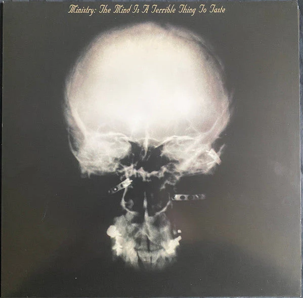 The Mind Is A Terrible Thing To Taste Vinyl Record - Image 2