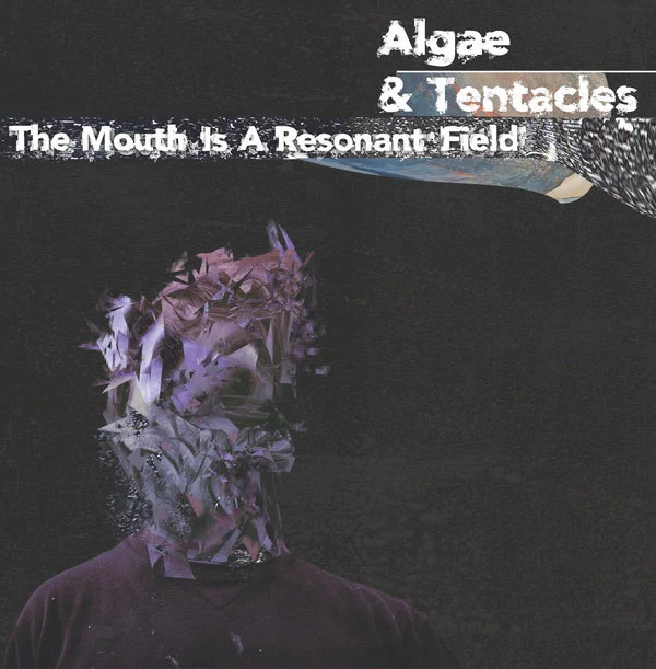 The Mouth is a Resonant Field Vinyl Record
