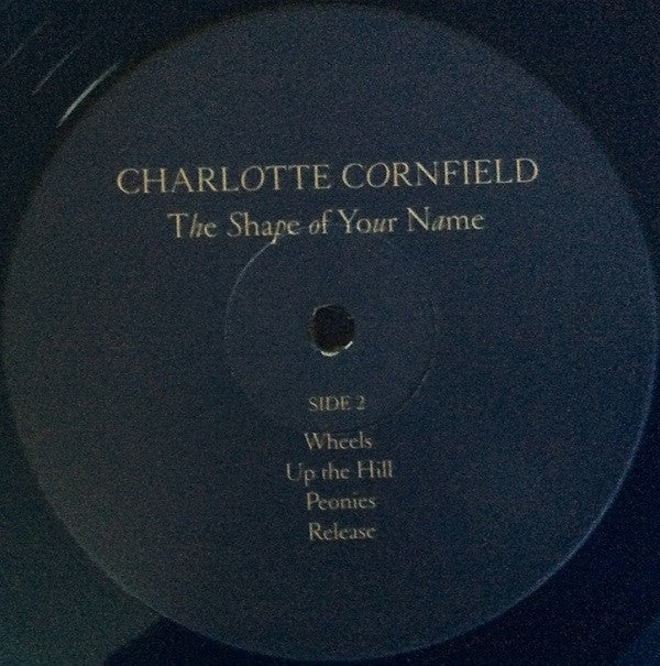 The Shape Of Your Name Vinyl Record - Image 5