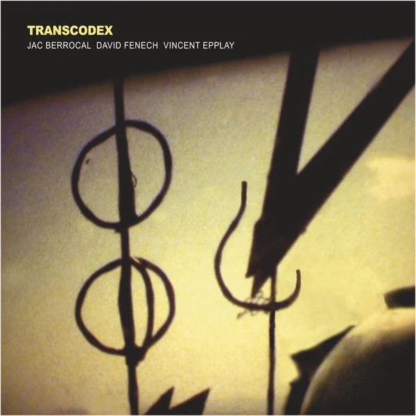 Transcodex Vinyl Record