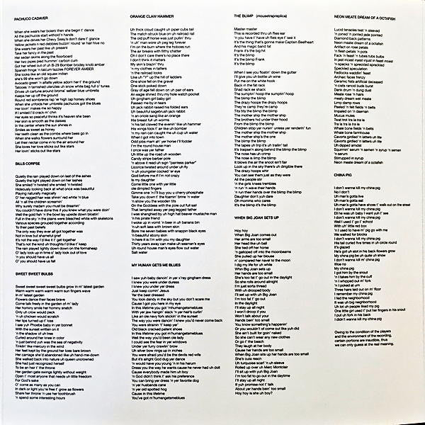 Trout Mask Replica (180g) Vinyl Record - Image 11
