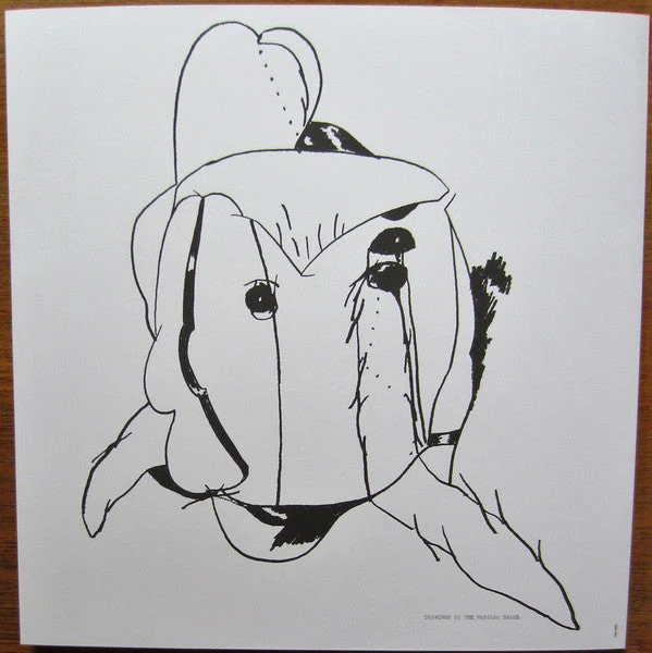 Trout Mask Replica (180g) Vinyl Record - Image 14