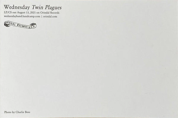 Twin Plagues Vinyl Record - Image 9