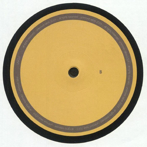 UNK22 Generic Vinyl Record - Image 2