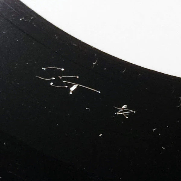Until Then, Goodbye  Vinyl Record - Image 7