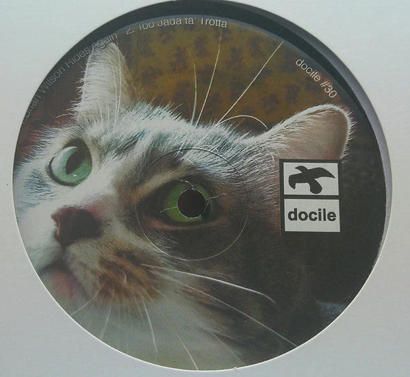 Untitled Generic Vinyl Record