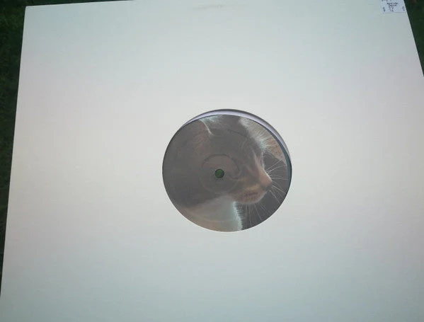 Untitled Generic Vinyl Record - Image 2