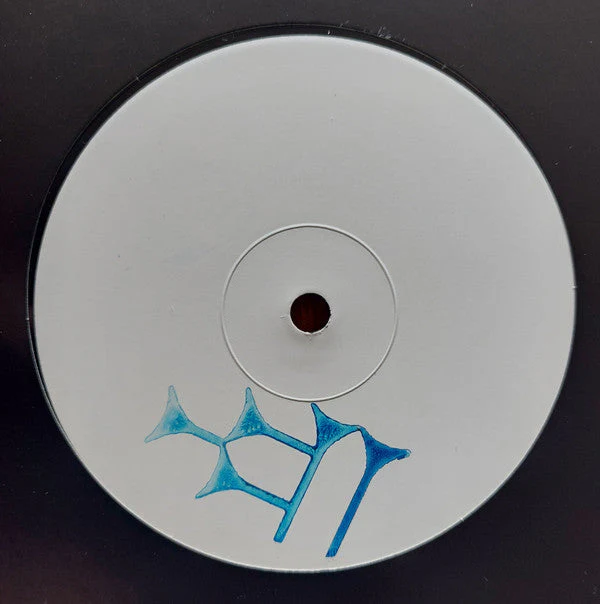 URU 002 Generic Vinyl Record